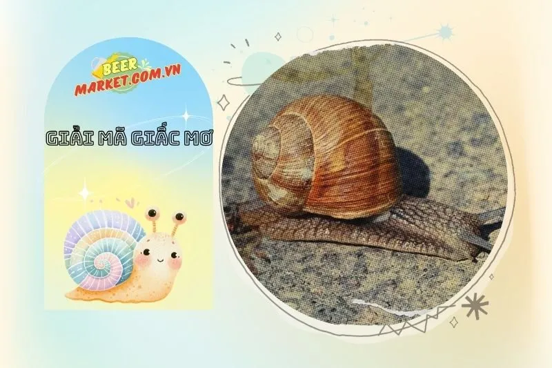 Các Con Số May Mắn Liên Quan Đến Giấc Mơ Thấy Ốc