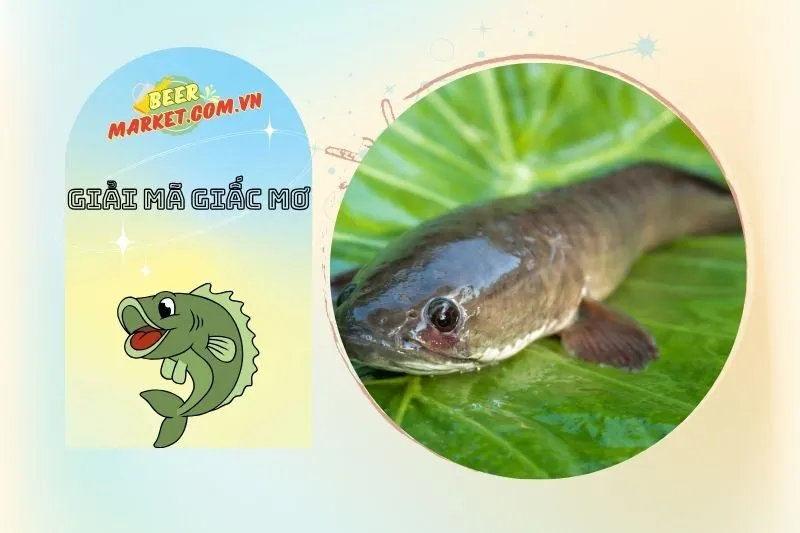 Các Điềm Báo Tốt Khi Mơ Thấy Cá Lóc