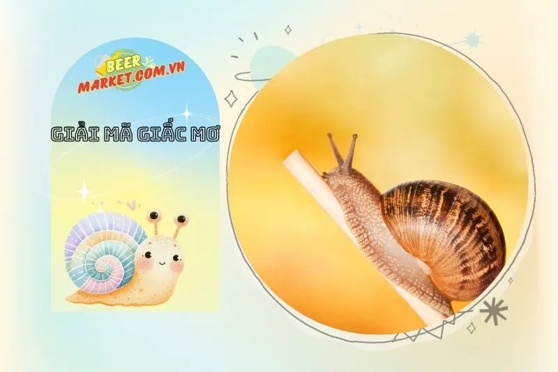 Các Hình Ảnh Khác Trong Giấc Mơ Và Sự Liên Quan Đến Ốc