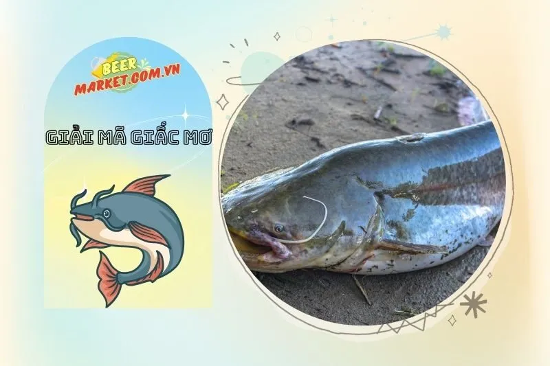 Các Loại Cá Trê và Màu Sắc Liên Quan Đến Giấc Mơ