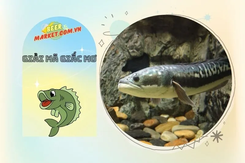 Các Số May Mắn Liên Quan Khi Mơ Thấy Cá Lóc