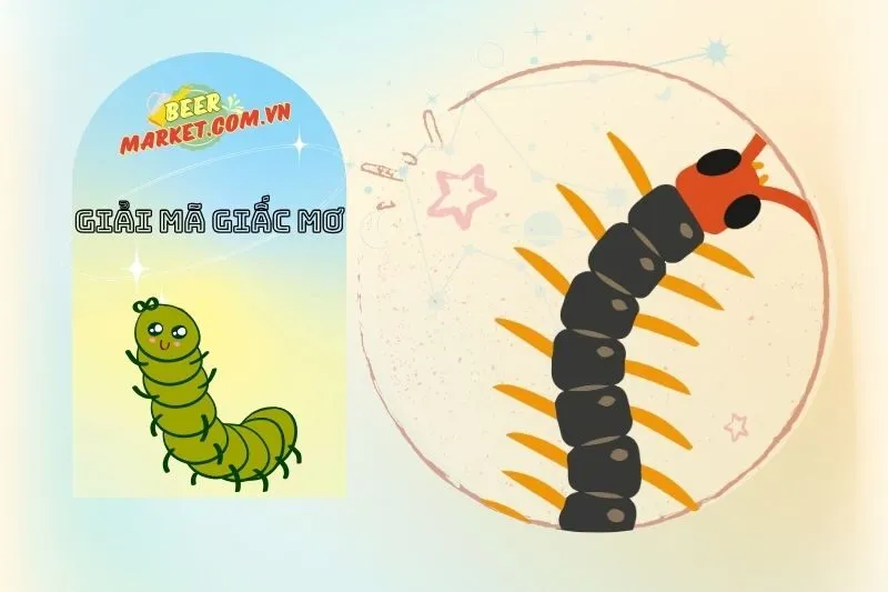 Các Tình Huống Mơ Thấy Rết và Ý Nghĩa Cụ Thể