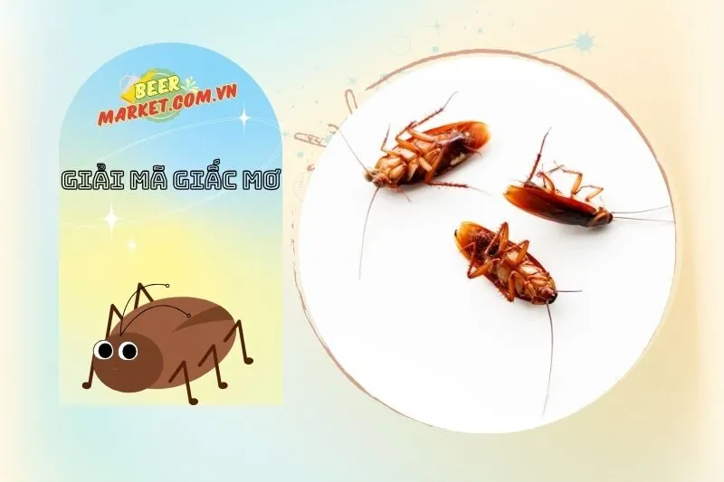 Các Tình Huống Thường Gặp Khi Nằm Mơ Thấy Gián Và Ý Nghĩa Của Chúng