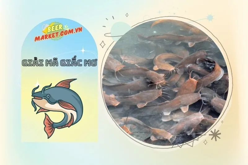 Các Trường Hợp Nằm Mơ Thấy Cá Trê Khác Nhau và Ý Nghĩa