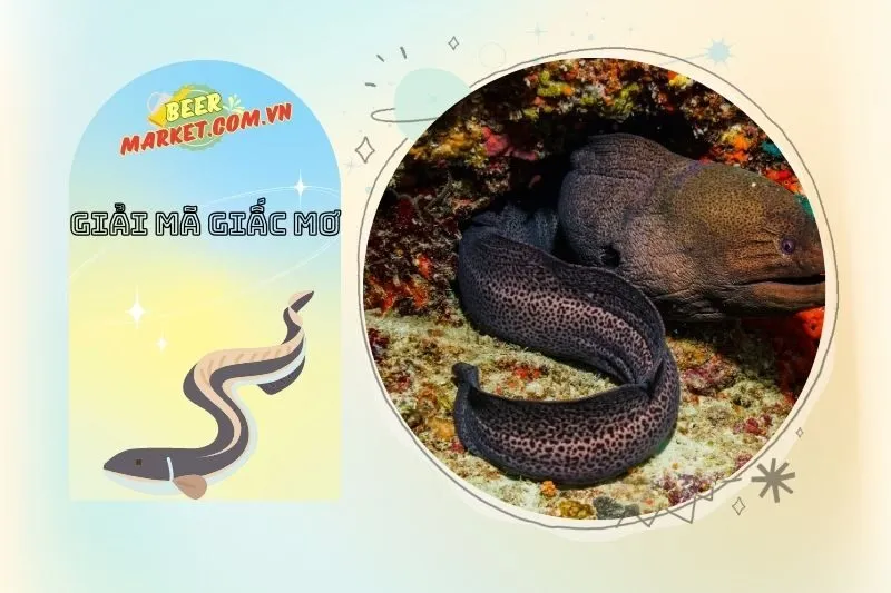 Cách giải mã chi tiết giấc mơ thấy lươn theo bối cảnh cụ thể