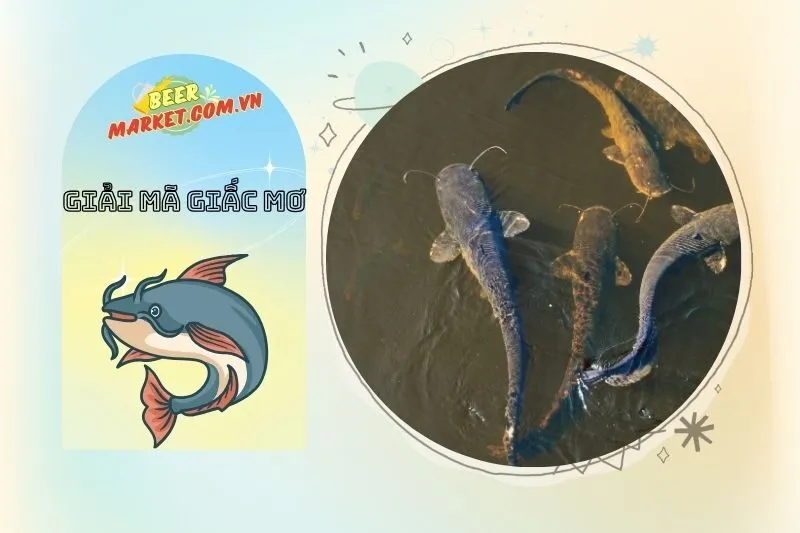 Con Số May Mắn Khi Nằm Mơ Thấy Cá Trê
