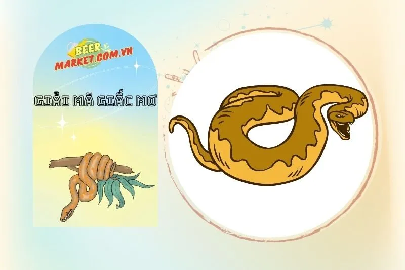 Con Số May Mắn Khi Nằm Mơ Thấy Trăn