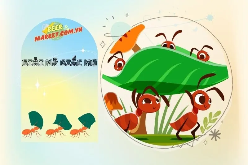 Con Số May Mắn Liên Quan Tới Giấc Mơ Thấy Kiến