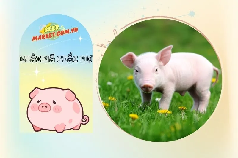 Điềm báo từ các giấc mơ cụ thể khi thấy heo