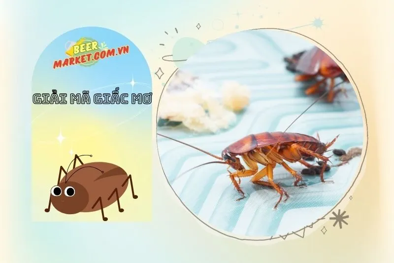 Giấc Mơ Về Gián Và Mối Quan Hệ Xung Quanh