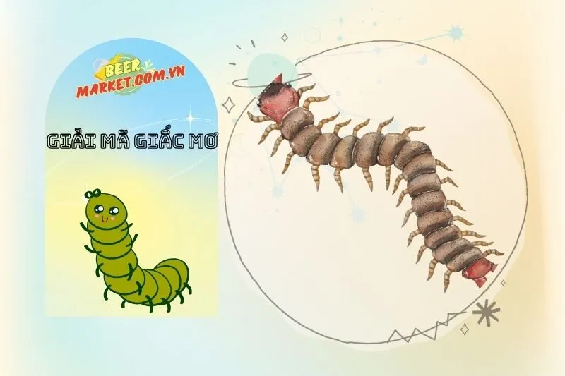 Giải Mã Các Loại Rết Trong Giấc Mơ