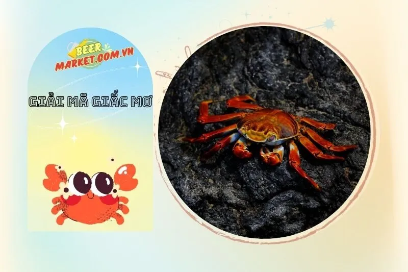 Giải mã giấc mơ thấy cua – Ý nghĩa và điềm báo