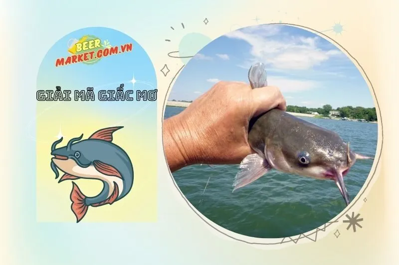 Giải Quyết Mâu Thuẫn và Rủi Ro Liên Quan Khi Nằm Mơ Thấy Cá Trê