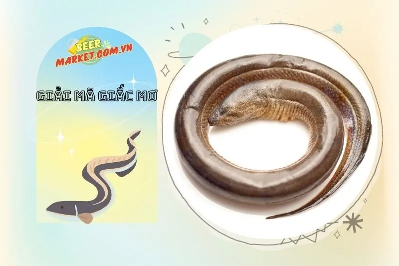 Làm thế nào để hành động khi mơ thấy lươn?