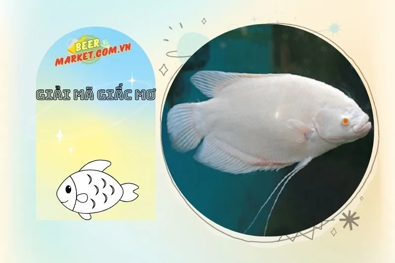 Lời khuyên từ giấc mơ thấy cá trắng để cải thiện cuộc sống