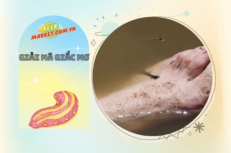 Màu Sắc Của Đỉa Trong Giấc Mơ Có Ý Nghĩa Gì?