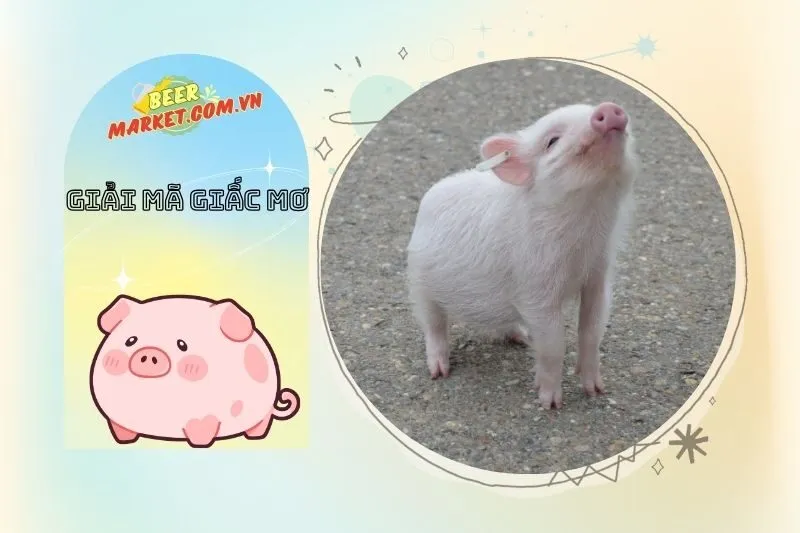 Màu sắc và trạng thái của heo trong giấc mơ mang ý nghĩa gì?