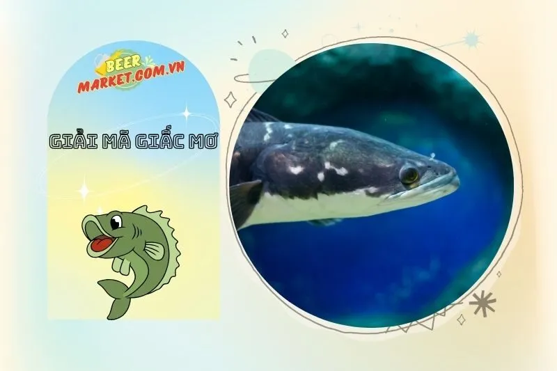 Mơ Thấy Cá Lóc Liên Quan Đến Sự Nghiệp và Công Việc