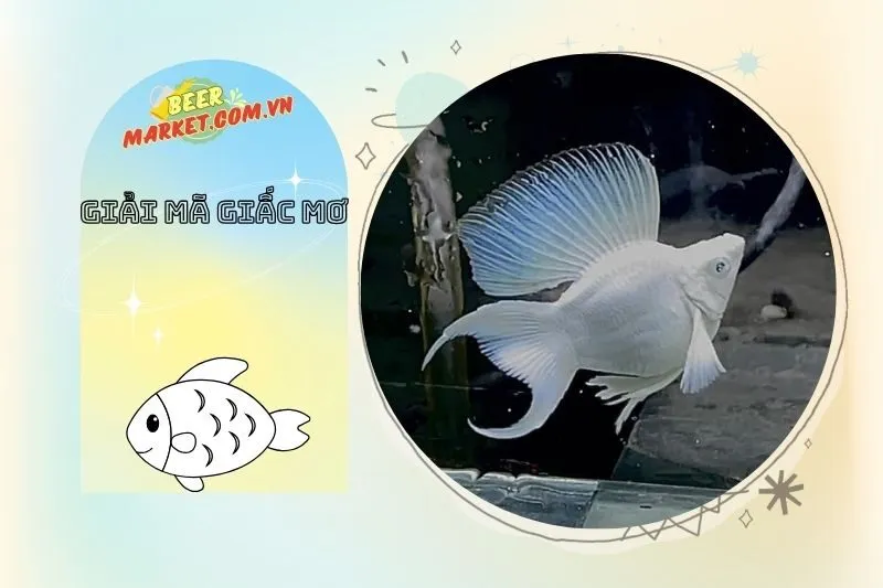 Mơ thấy cá trắng có thể là dấu hiệu cảnh báo khó khăn