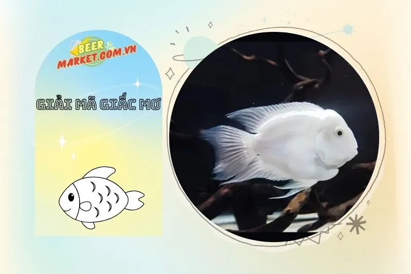 Mơ thấy cá trắng và sự may mắn trong cuộc sống hàng ngày