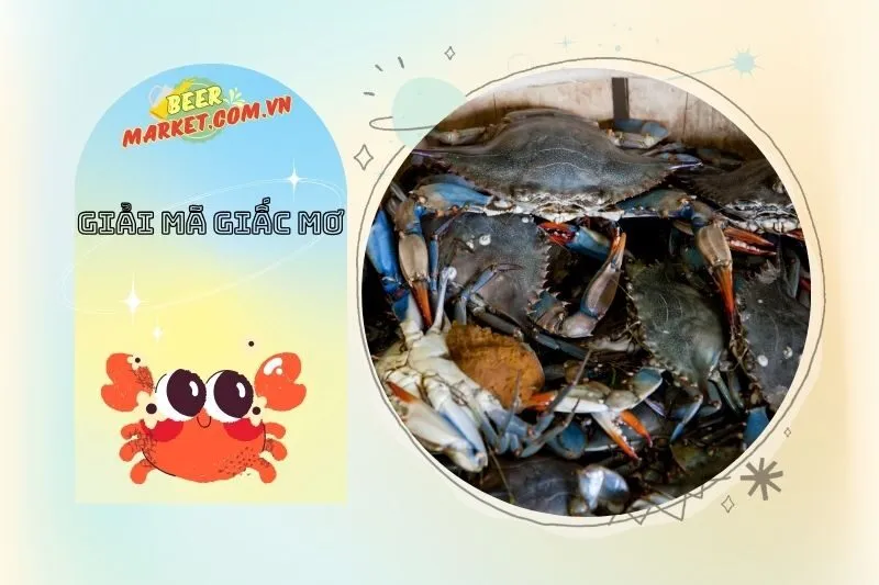 Mơ thấy cua biển và cua đồng – Những khác biệt trong điềm báo