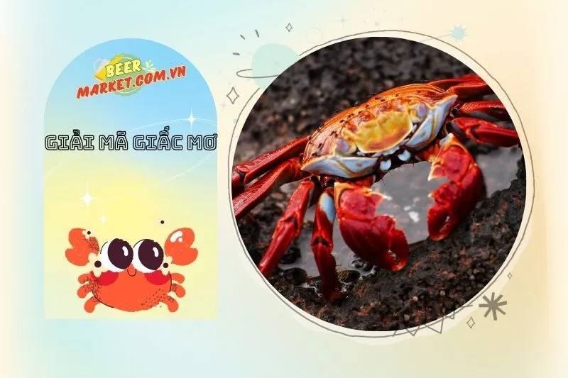 Mơ thấy cua bò lên chân – Cảnh báo về các đối thủ cạnh tranh mạnh mẽ