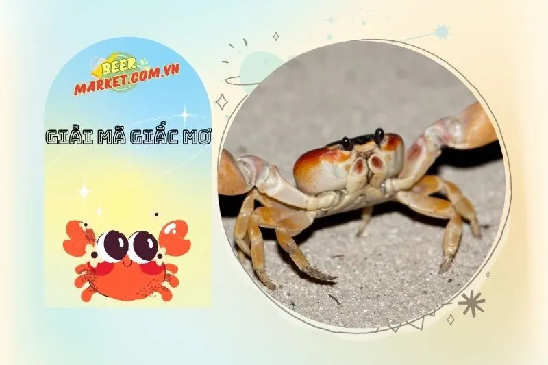 Mơ thấy cua kẹp tay – Cảnh báo về mối quan hệ và công việc