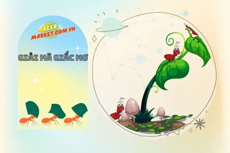 Mơ Thấy Kiến và Những Dự Báo Về Sức Khỏe và Mối Quan Hệ