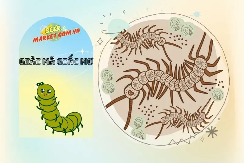 Mơ Thấy Rết và Sự Liên Kết Với Các Con Số May Mắn