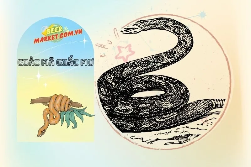 Mơ Thấy Trăn Màu Đen