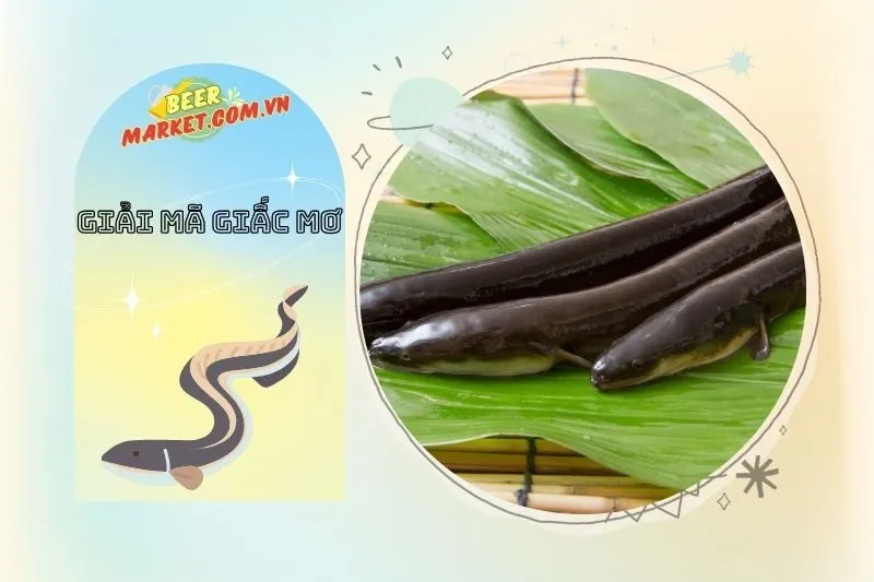 Mối liên hệ giữa giấc mơ thấy lươn và các giấc mơ khác