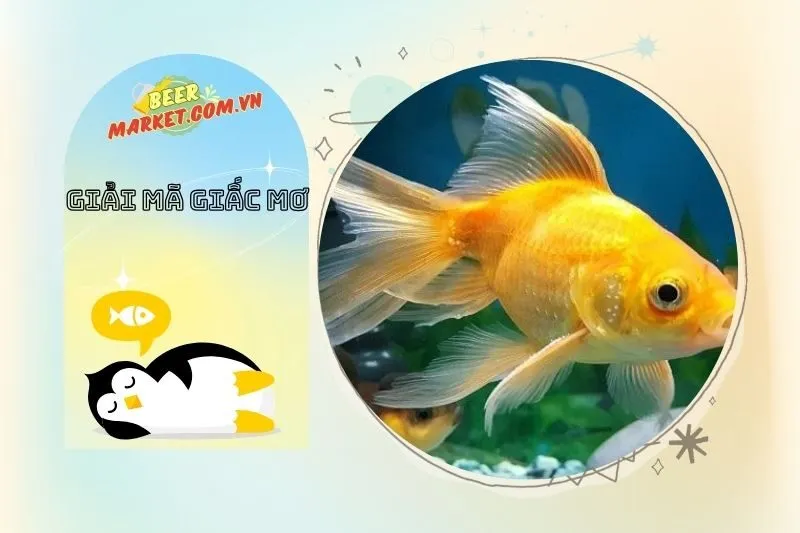 Nằm Mơ Thấy Cá Mang Lại Con Số May Mắn Nào?