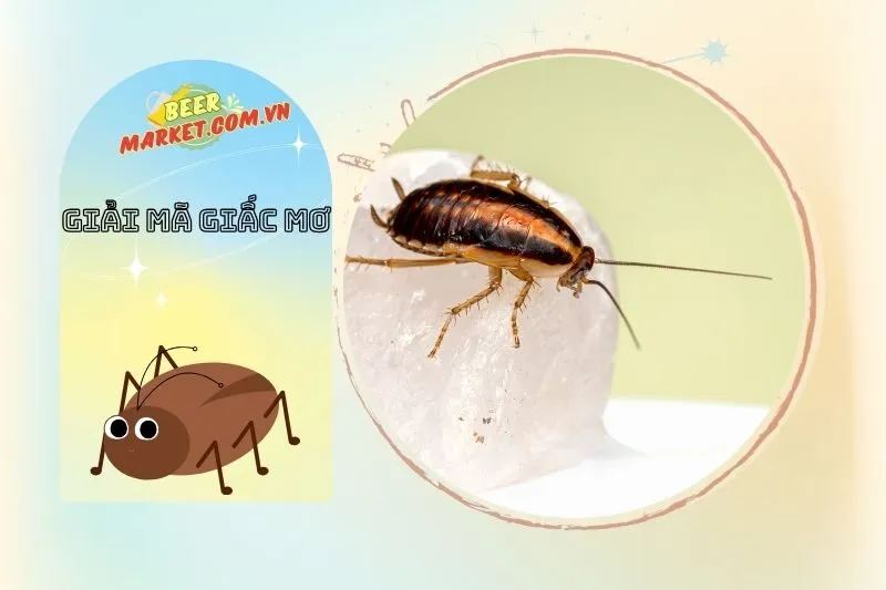 Nằm Mơ Thấy Gián Báo Điều Gì? Ý Nghĩa Và Điềm Báo Từ Giấc Mơ