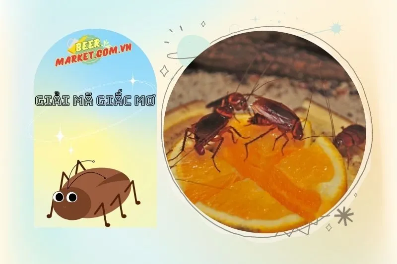 Nằm Mơ Thấy Gián Và Một Số Con Số May Mắn Liên Quan