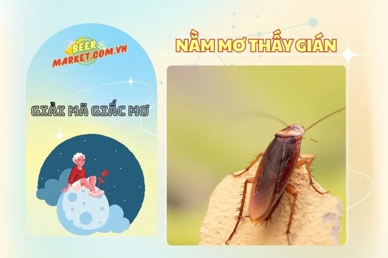 Nằm Mơ Thấy Gián: Ý Nghĩa, Điềm Báo Và Các Tình Huống Giải Mã 2025 | Beermarket
