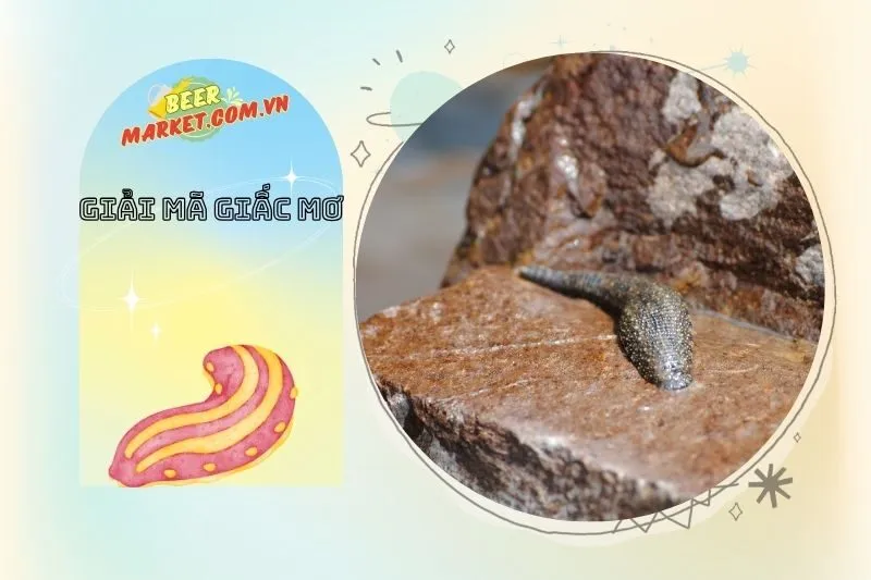 Những Bài Học Từ Giấc Mơ Thấy Đỉa Trong Cuộc Sống