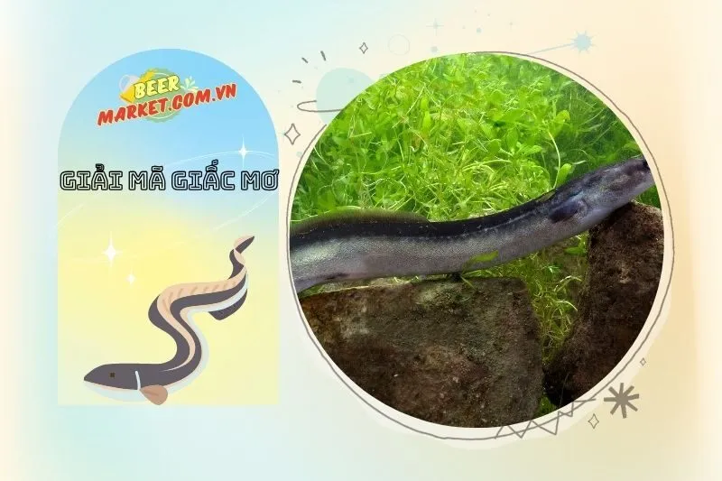 Những cảnh báo quan trọng từ giấc mơ thấy lươn