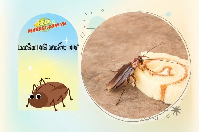 Những Cảnh Báo Từ Giấc Mơ Thấy Gián