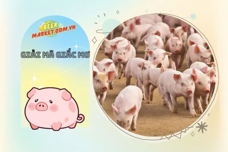 Những giấc mơ liên quan khác và ý nghĩa của chúng