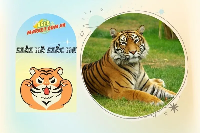 Những Giấc Mơ Thấy Hổ Khác Và Ý Nghĩa Của Chúng