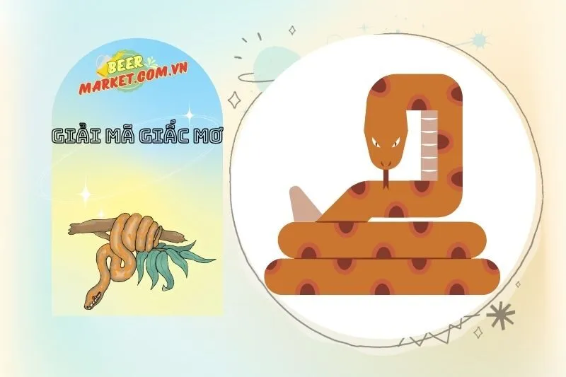 Những Giấc Mơ Về Trăn và Ảnh Hưởng Đến Sức Khỏe