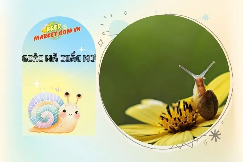 Những Lưu Ý Khi Giải Mã Giấc Mơ Về Ốc