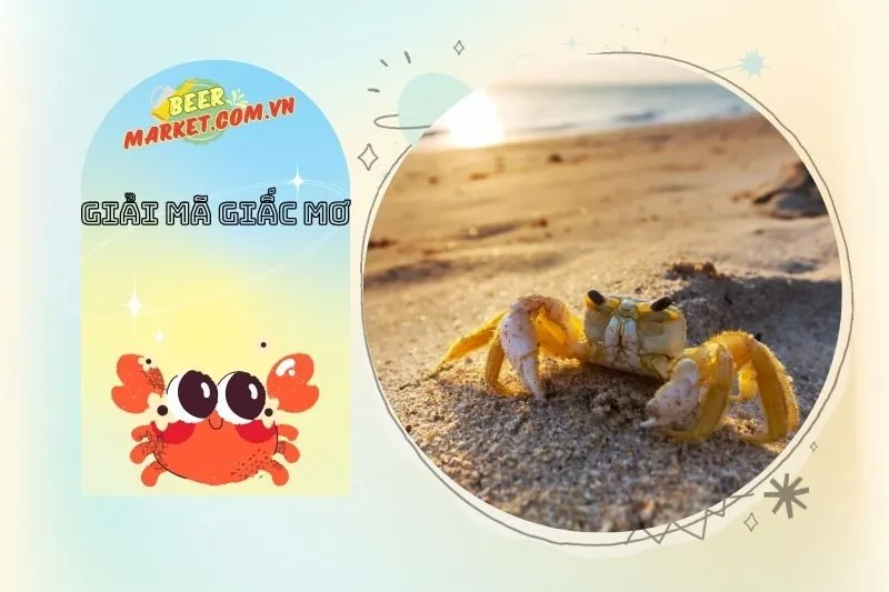 Những tình huống nằm mơ thấy cua và các con số may mắn liên quan