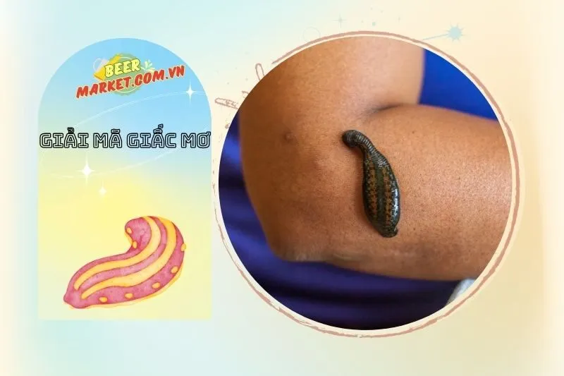 Tại sao chúng ta thường nằm mơ thấy đỉa?