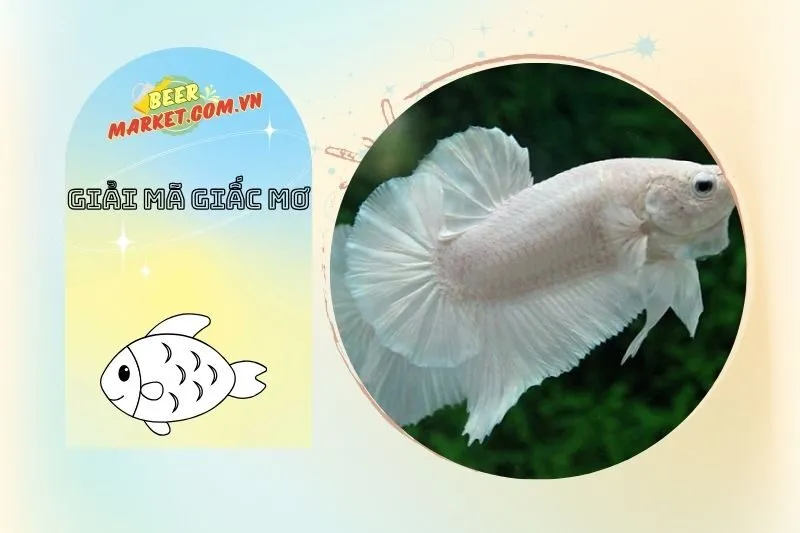 Tại sao mơ thấy cá trắng mang lại tài lộc và may mắn?