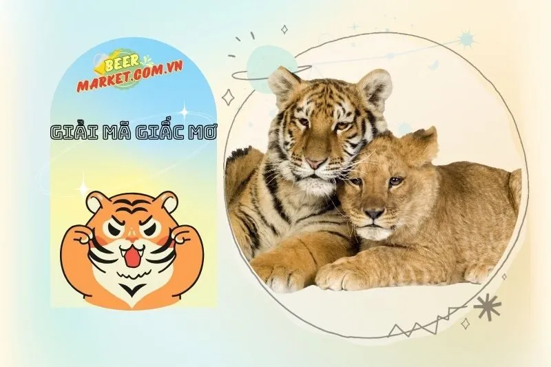 Tầm Quan Trọng Của Việc Chú Ý Đến Giấc Mơ Thấy Hổ