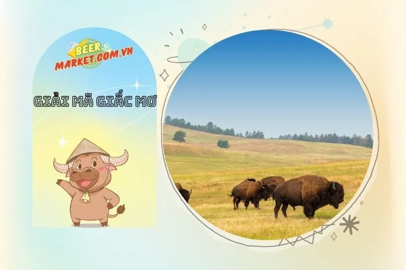 Tìm Hiểu Các Con Số May Mắn Liên Quan Đến Trâu