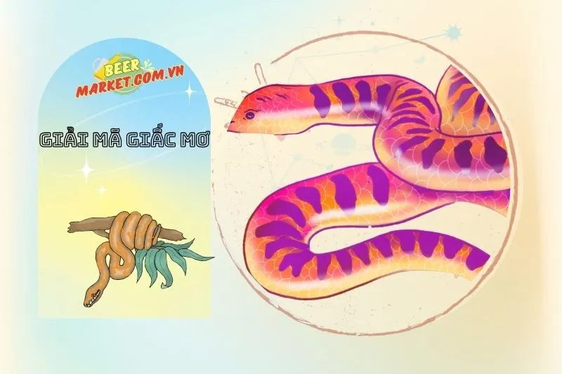 Ý Nghĩa Của Các Chi Tiết Đặc Biệt Trong Giấc Mơ Thấy Trăn