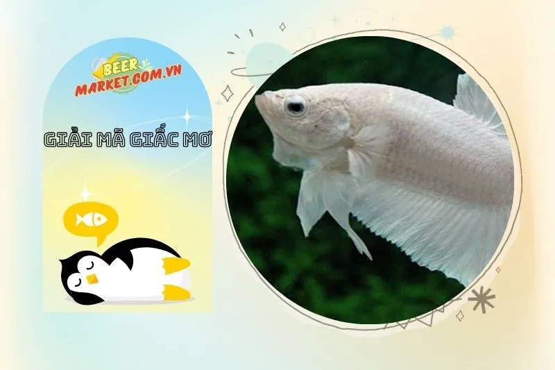 Ý Nghĩa Của Giấc Mơ Thấy Cá Trong Tâm Linh Và Phong Thủy