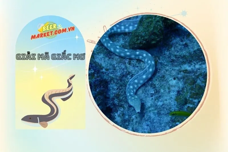 Ý nghĩa khi nằm mơ thấy lươn và các điềm báo liên quan